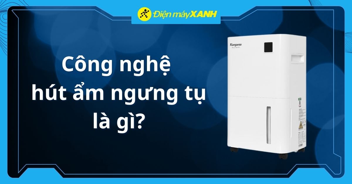 Công nghệ hút ẩm ngưng tụ là gì? Gợi ý dòng máy hút ẩm ngưng tụ chất lượng