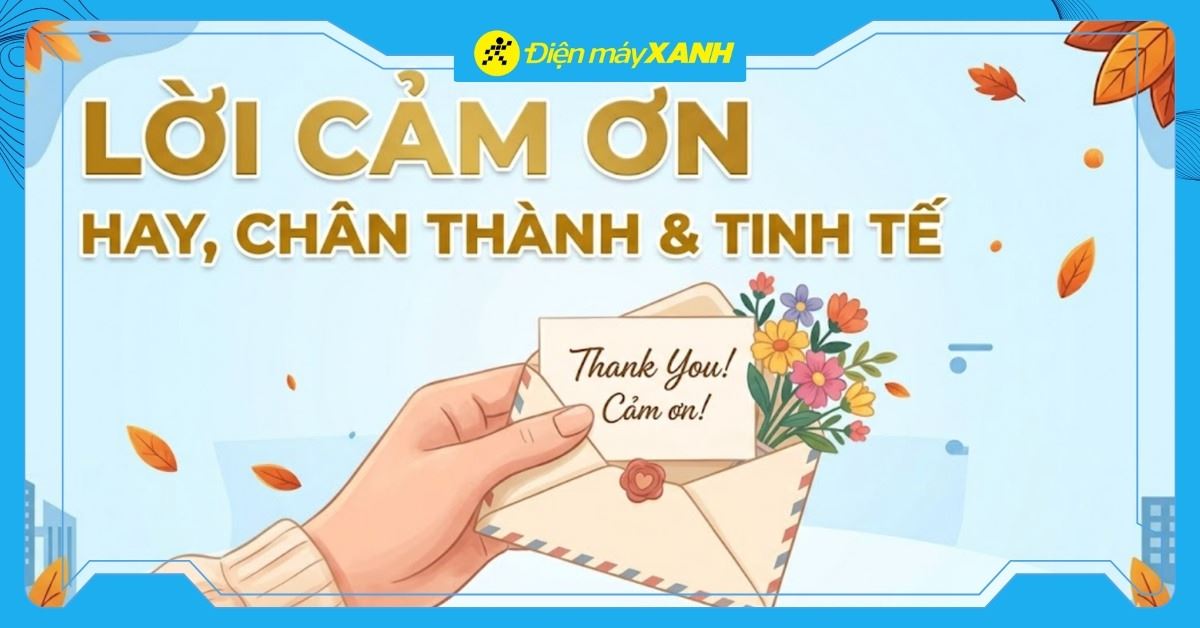 100+ lời cảm ơn hay, chân thành và tinh tế trong mọi hoàn cảnh 2026