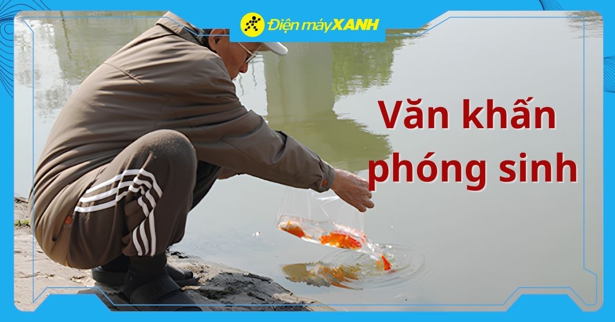 9+ Mẫu văn khấn phóng sinh đơn giản, dễ đọc, đúng và đủ 2026