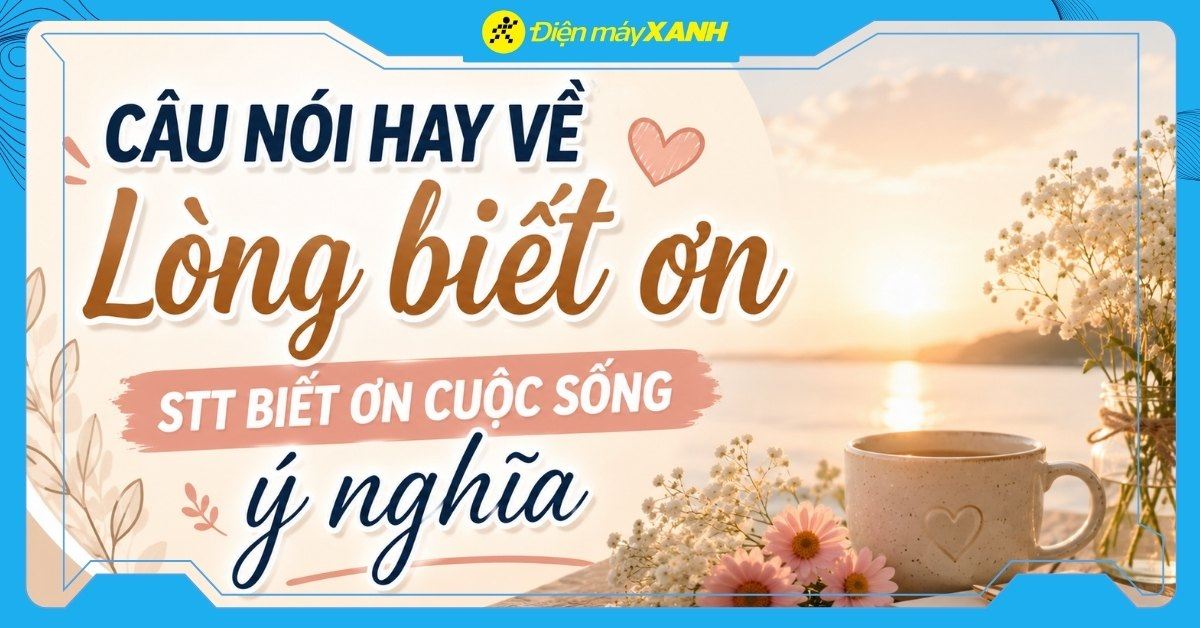 199+ Câu nói hay về lòng biết ơn, STT biết ơn cuộc sống ý nghĩa nhất