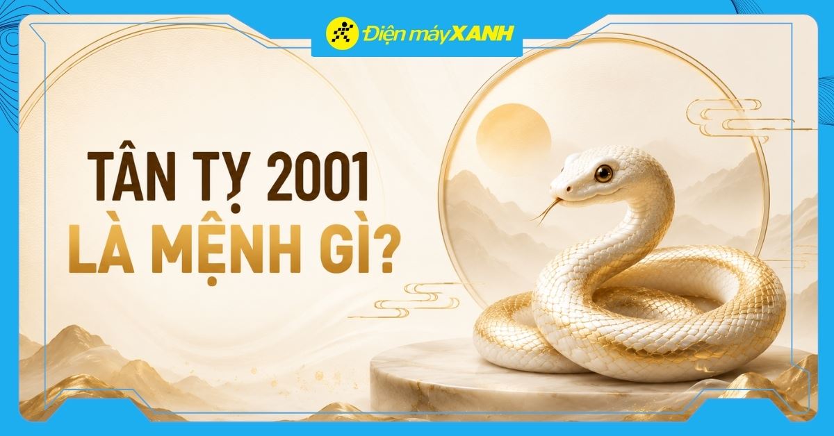Tân Tỵ 2001 là mệnh gì? Hợp với tuổi nào? Tư vấn chọn mua đồ hợp mệnh