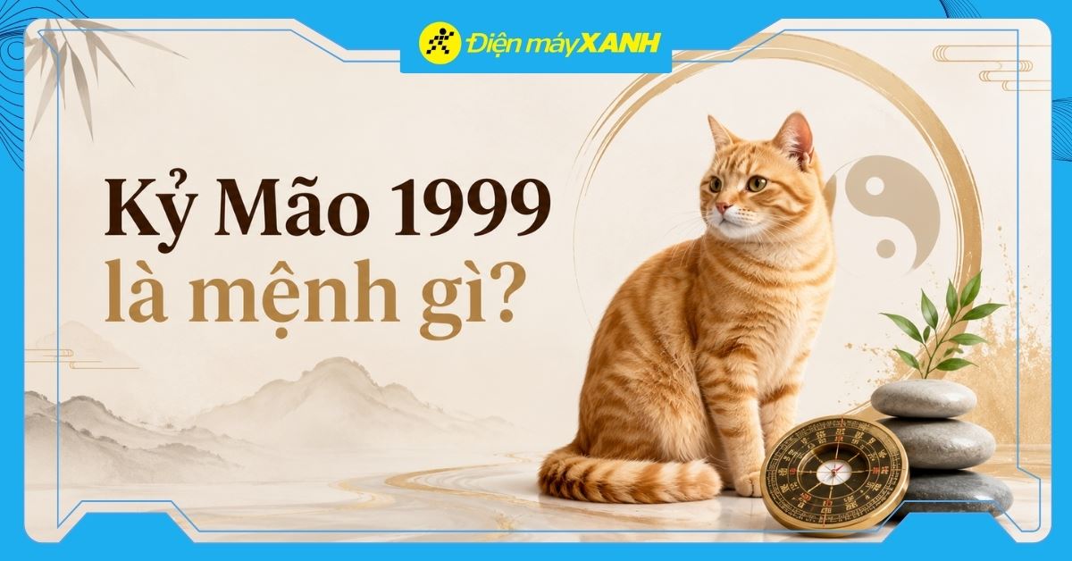 Kỷ Mão 1999 là mệnh gì? Hợp với tuổi nào? Gợi ý đồ hợp phong thuỷ