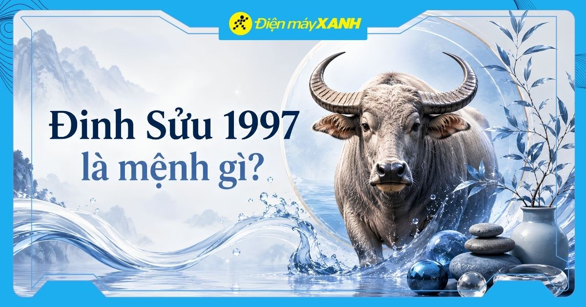 Đinh Sửu 1997 là mệnh gì? Hợp với tuổi nào? Tư vấn chọn mua đồ hợp mệnh