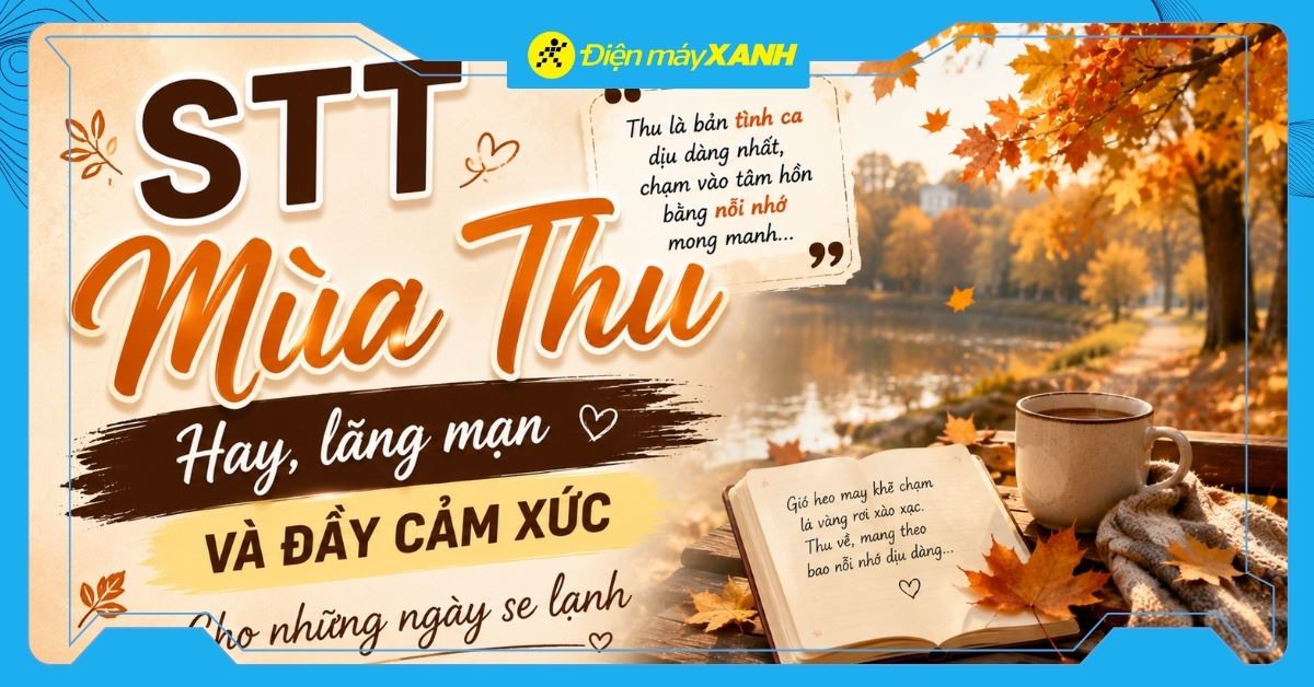 101+ STT mùa thu hay, lãng mạn và đầy cảm xúc cho những ngày se lạnh