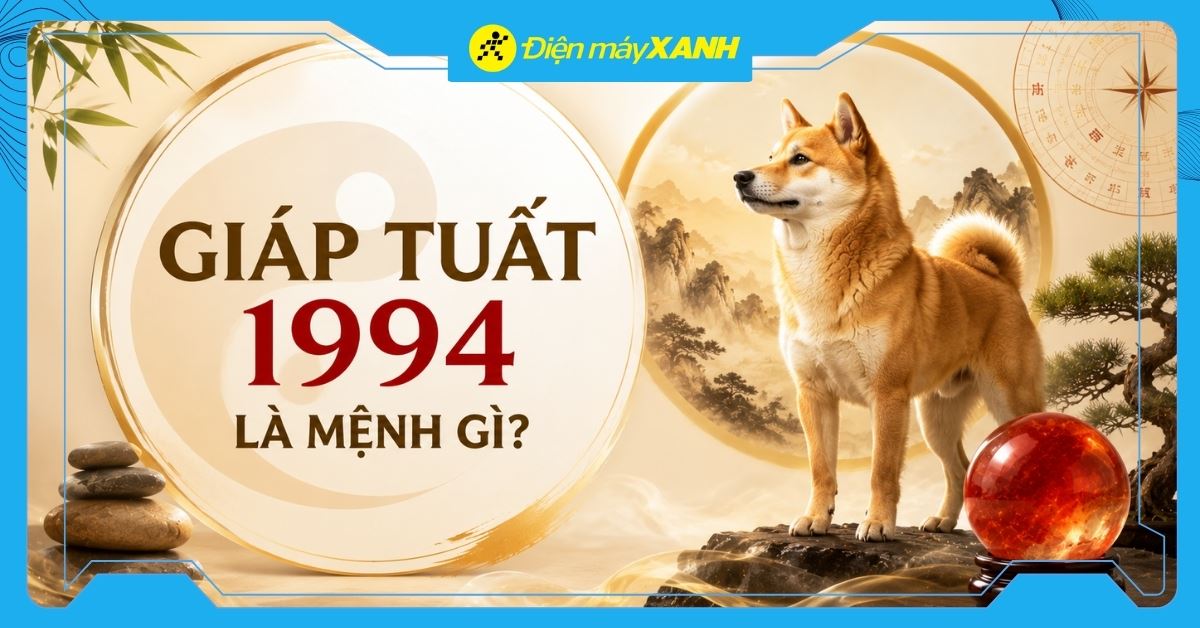 Giáp Tuất 1994 là mệnh gì? Hợp với tuổi nào? Tư vấn chọn mua đồ hợp mệnh