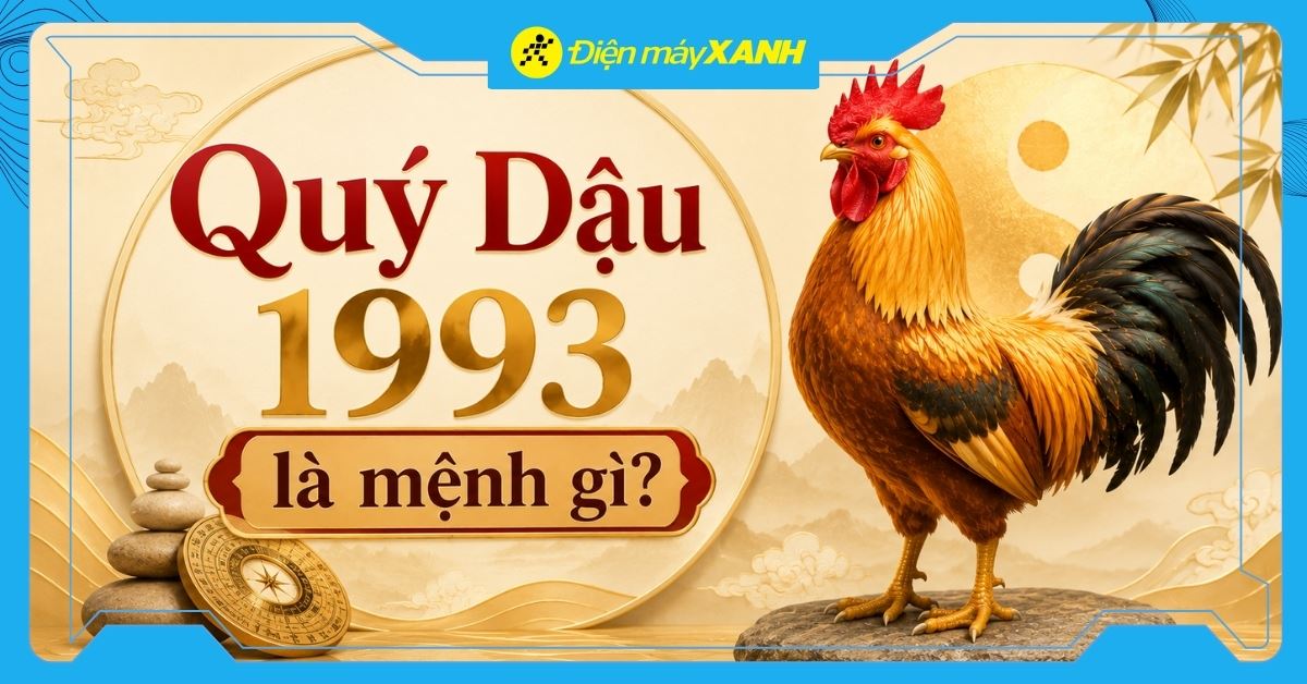 Quý Dậu 1993 là mệnh gì? Hợp với tuổi nào? Tư vấn chọn mua đồ hợp mệnh