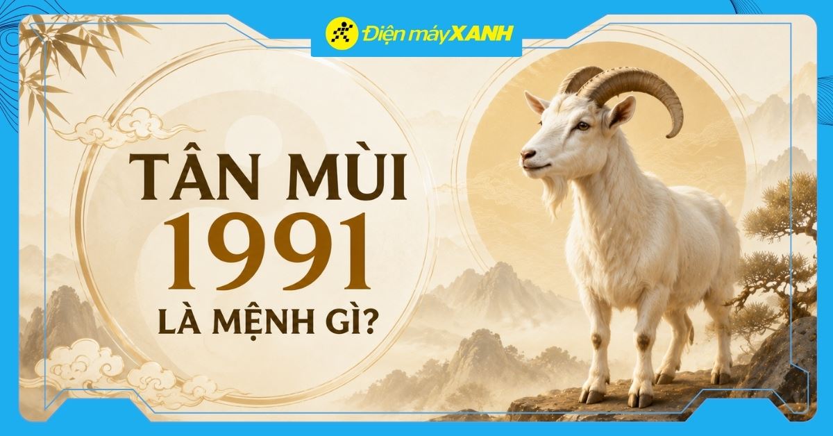 Tân Mùi 1991 là mệnh gì? Hợp với tuổi nào? Tư vấn chọn mua đồ hợp mệnh
