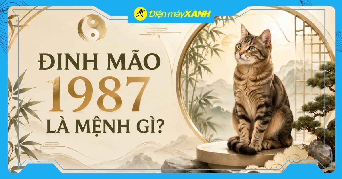 Đinh Mão 1987 là mệnh gì? Hợp với tuổi nào? Tư vấn chọn mua đồ hợp mệnh