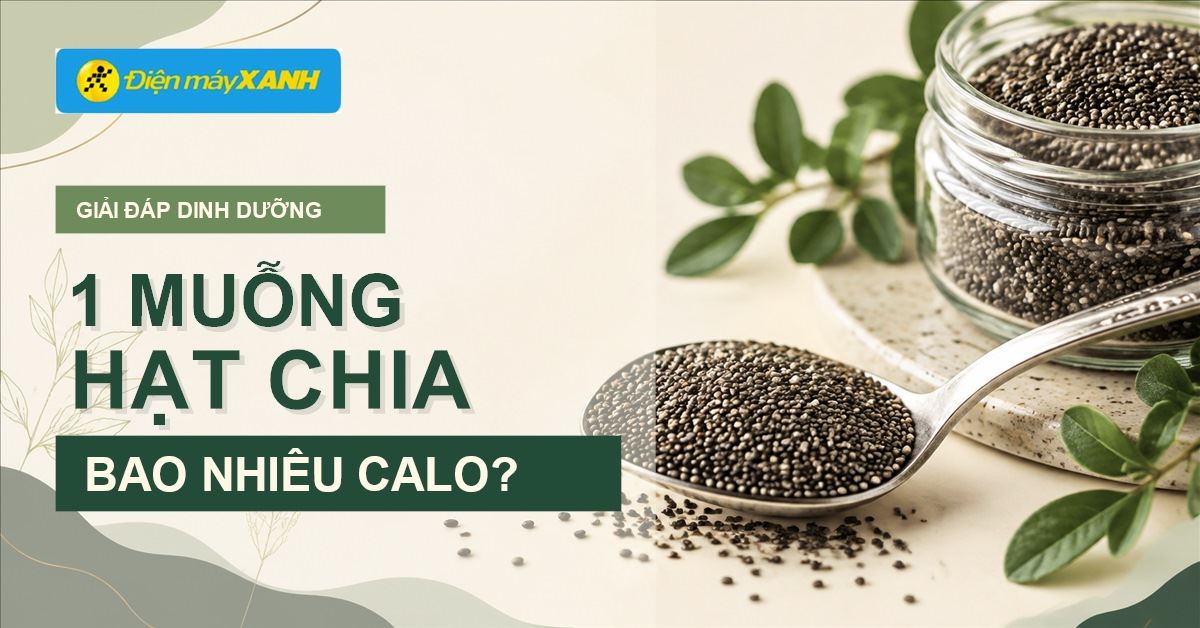 Giải đáp thắc mắc 1 muỗng cà phê hạt chia bao nhiêu calo?