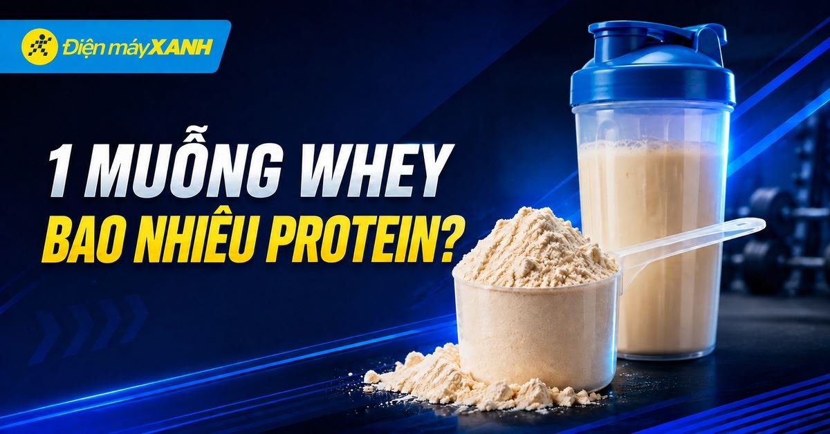1 muỗng whey bao nhiêu protein: Hiểu đúng để hỗ trợ dinh dưỡng và tập luyện hiệu quả