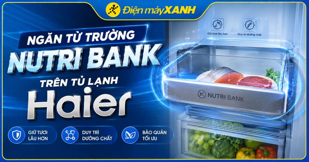 Ngăn từ trường Nutri Bank trên tủ lạnh Haier là gì? Giải mã công nghệ mới