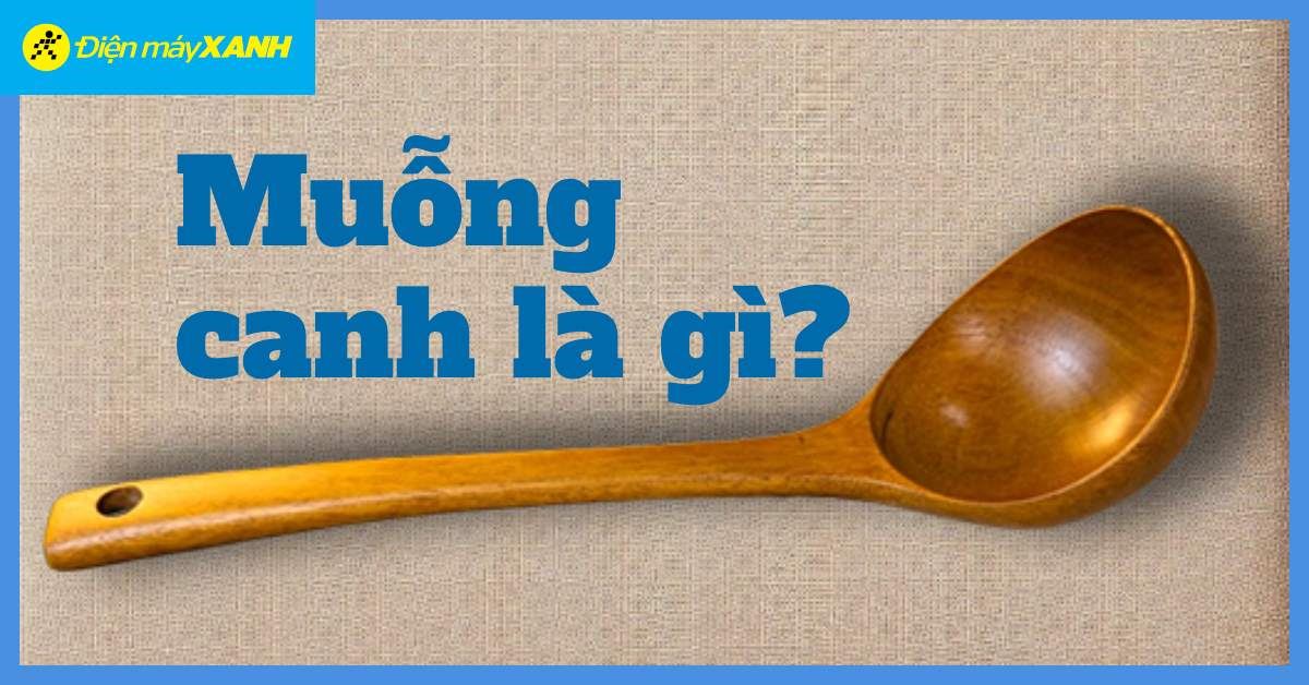 Muỗng canh là gì và vai trò quan trọng trong nấu ăn hàng ngày