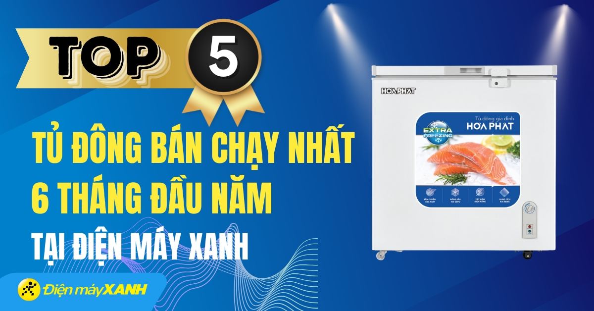 Top 5 tủ đông bán chạy nhất 6 tháng đầu năm 2025 tại Điện máy XANH