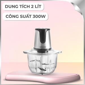 Máy xay thịt Lock&Lock EJM171 300W 2 lít