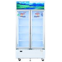 Tủ mát 2 cánh Sanaky 900 lít TM.VH1009HP
