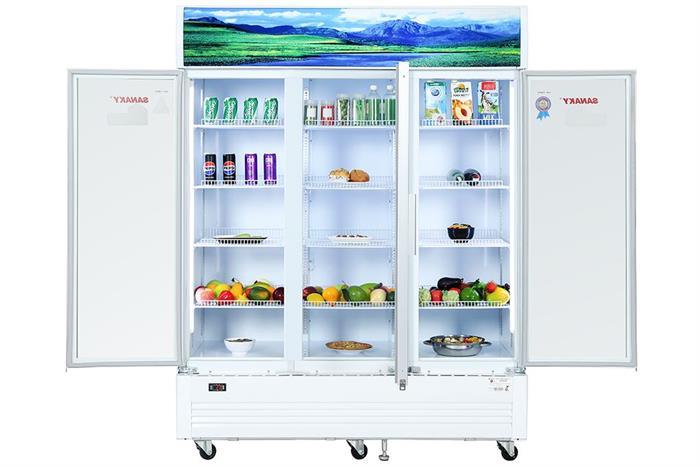 Tủ mát Sanaky 1400 lít TM.VH1520HP Màu Trắng