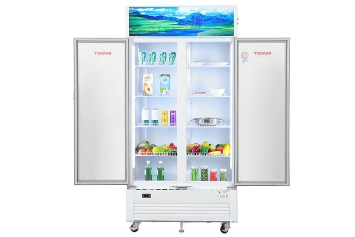 Tủ mát 2 cánh Sanaky Inverter 900 lít VH-1009HP3 Màu Trắng
