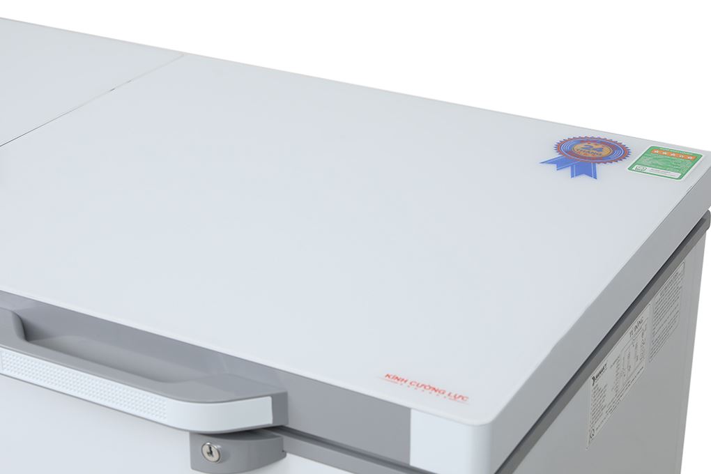 Tủ đông Sanaky 260 lít VH-3699W2KD - 3