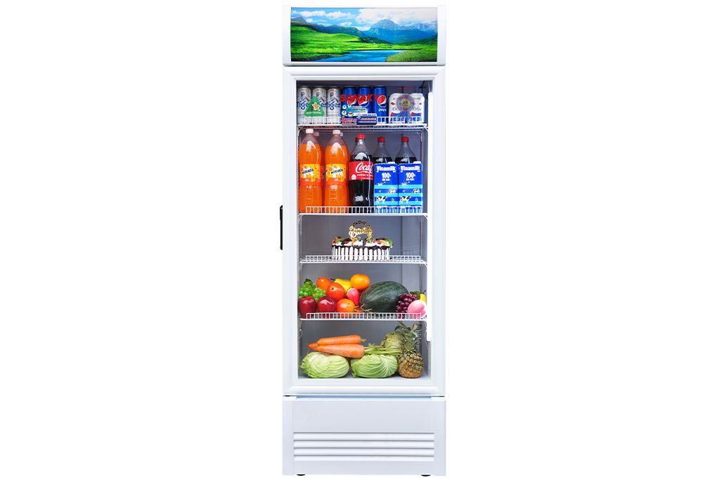 Tủ mát Sanaky Inverter 480 Lít VH-5089K3 Màu Trắng