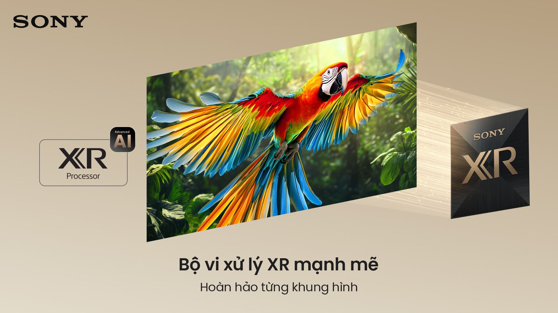 Google Tivi True RGB Sony AI 4K 75 inch K-75XR70M2 Màu Đen