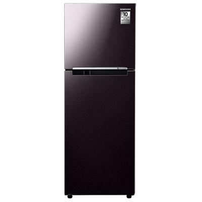 Tủ lạnh Samsung Inverter 236 lít RT22M4032BY/SV