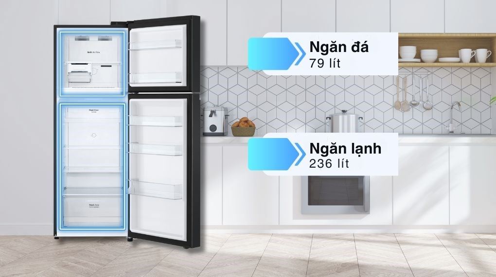 Tủ lạnh LG Inverter 315 lít LTB31BLM - Ngăn đá - Ngăn lạnh