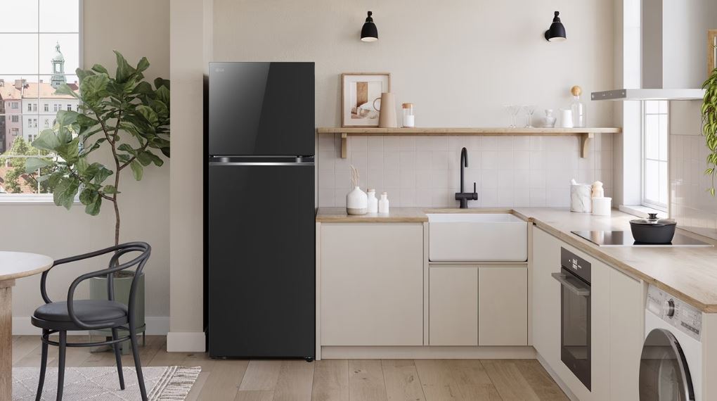 Tủ lạnh LG Inverter 335 lít LTB33BLG - Tổng quan thiết kế