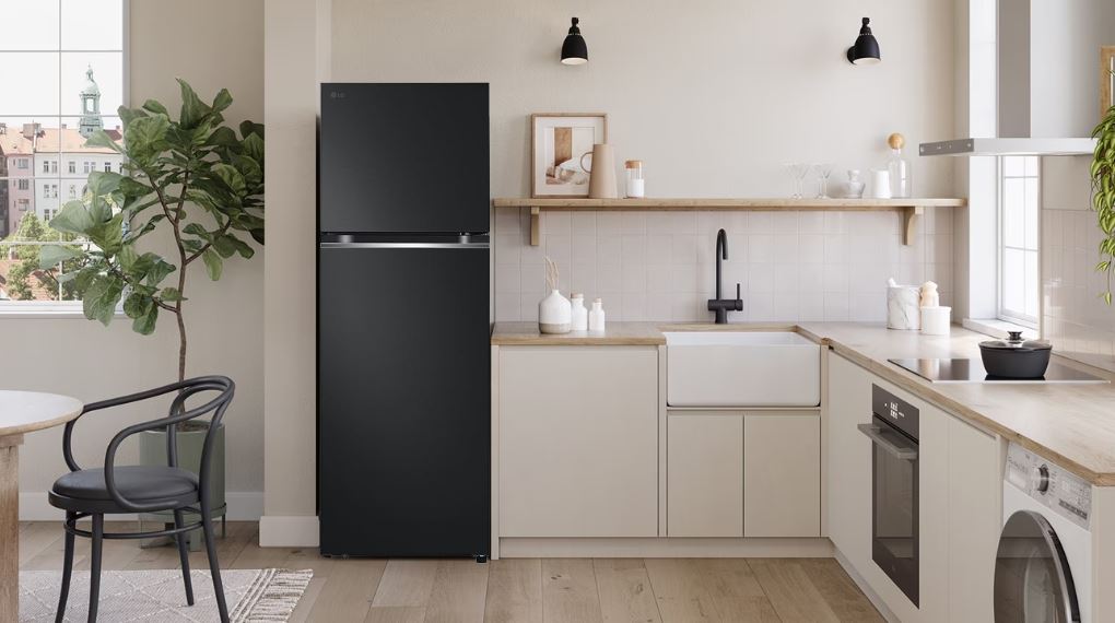Tủ lạnh LG Inverter 315 lít LTB31BLMA - Thiết kế 