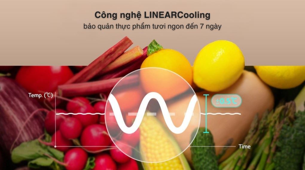 Tủ lạnh LG 217 lít LTB21BLMD - Công nghệ làm lạnh + Công nghệ bảo quản thực phẩm Tủ lạnh LG 217 lít LTB21BLMD - Công nghệ làm lạnh + Công nghệ bảo quản thực phẩm