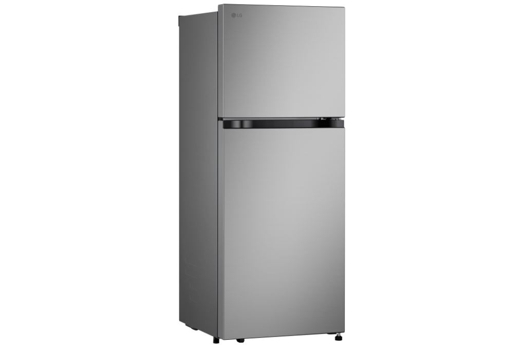 Tủ lạnh LG 217 lít LTB21SVMD - 2