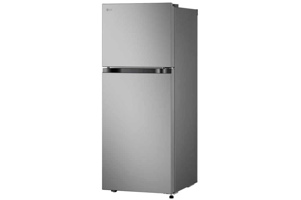 Tủ lạnh LG 217 lít LTB21SVMD - 3