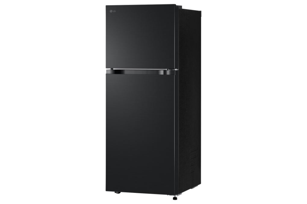 Tủ lạnh LG Inverter 217 lít LTB21BLMI - Thiết kế