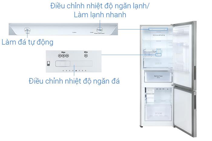 Tủ lạnh Samsung Inverter 307 lít RB30N4190S9/SV Màu Bạc