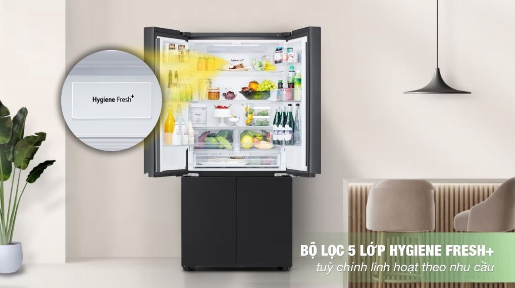Bộ lọc - Tủ lạnh LG Inverter 607 lít Multi Door F61BMD