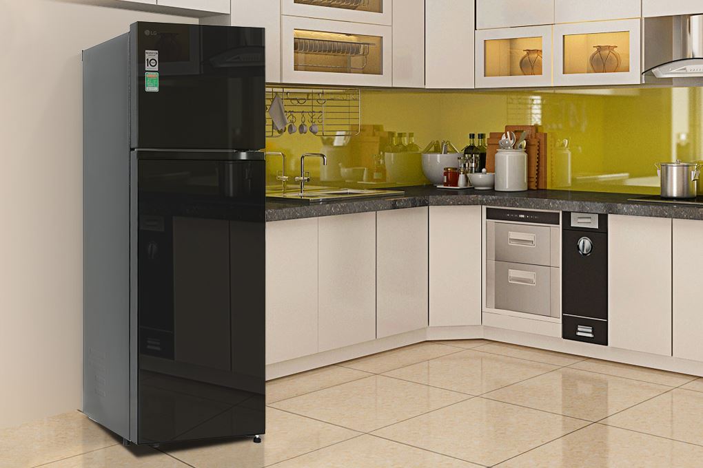 Tủ lạnh LG Inverter 266 lít T26BG Màu Đen