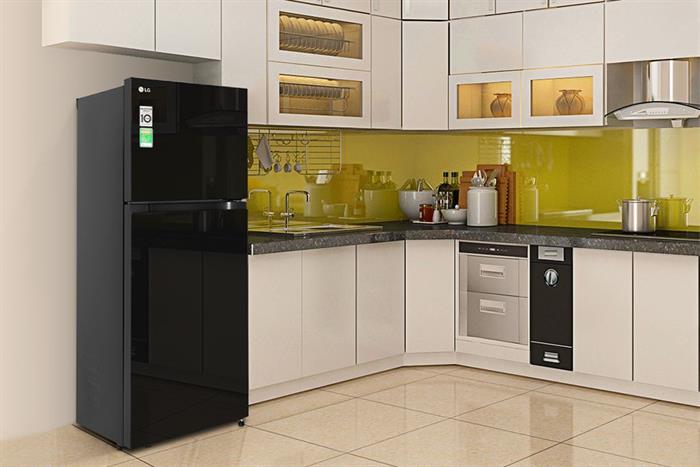 Tủ lạnh LG Inverter 217 lít T21BG Màu Đen