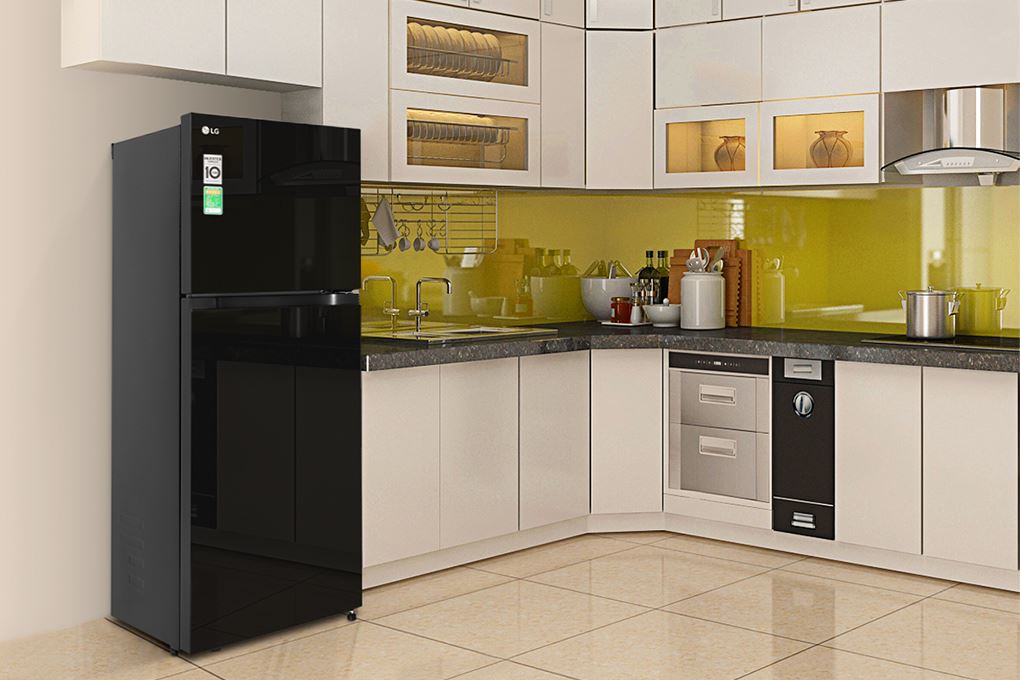 Tủ lạnh LG Inverter 217 lít T21BG Màu Đen