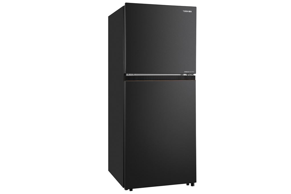 Tủ lạnh Toshiba Inverter 207 lít GR-RT268WE-PMV(68) - 3