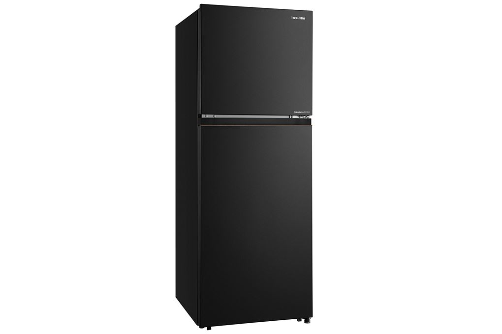 Tủ lạnh Toshiba Inverter 240 lít GR-RT310WE-PMV(68) - 4