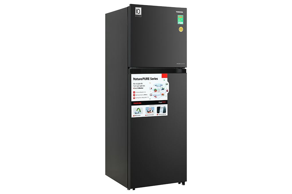 Tủ lạnh Toshiba Inverter 271 lít GR-RT349WE-PMV(68) Màu Đen