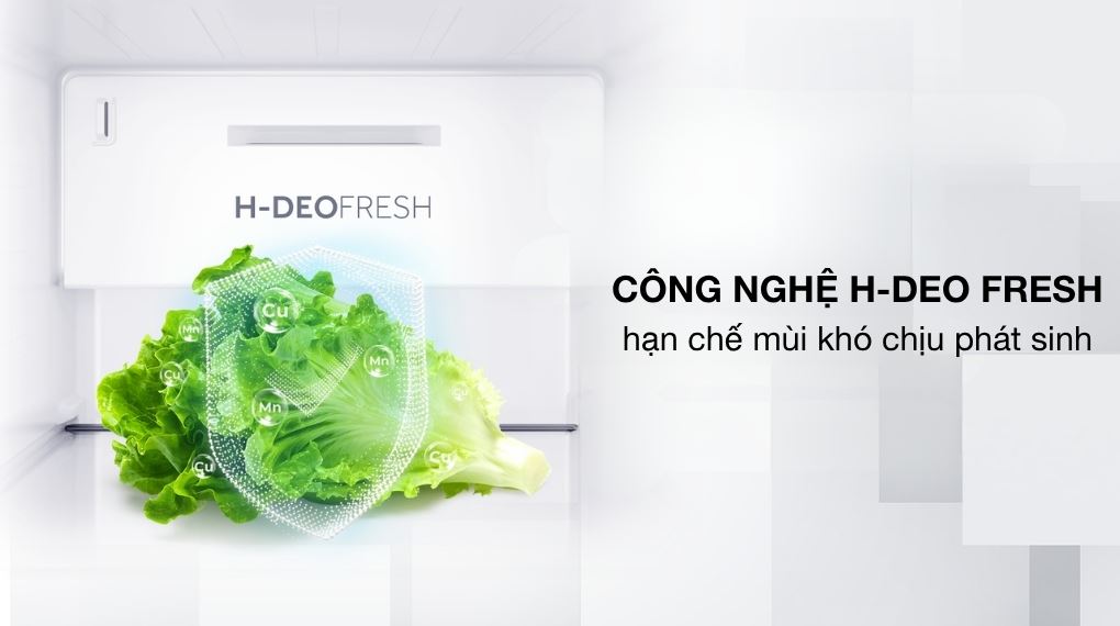 Công nghệ kháng khuẩn, khử mùi - Tủ lạnh Aqua Inverter 569 lít Side By Side AQR-S633XA(SL)