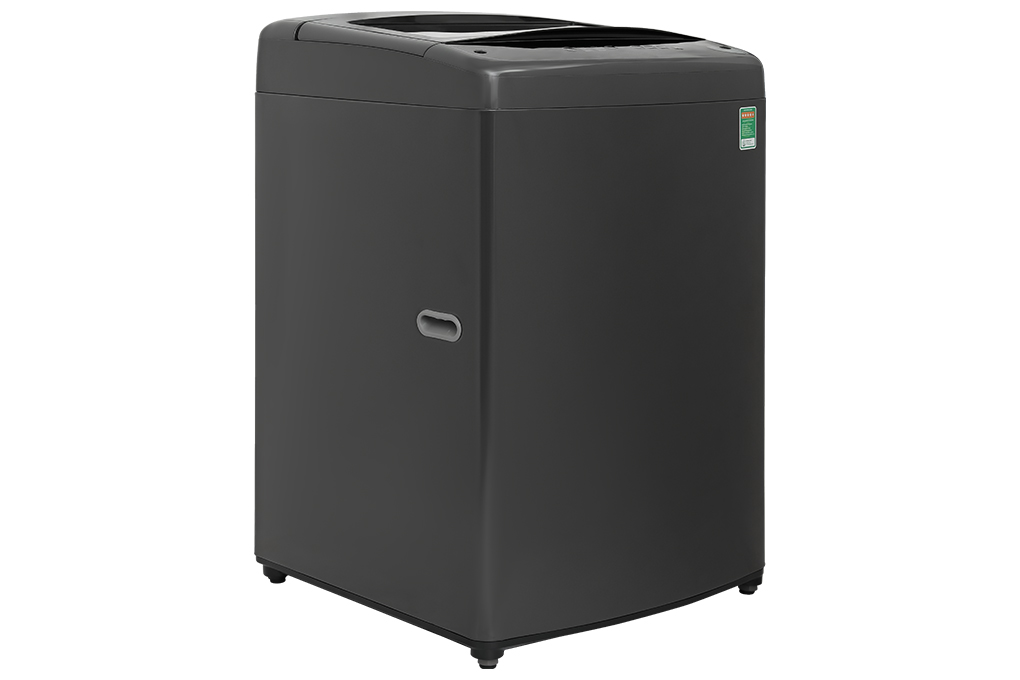 Máy giặt LG TurboDrum Inverter 12 kg T2512VBTB Màu Đen
