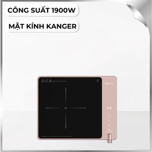 Bếp từ đơn FUJIHOME IC1207P 1900W