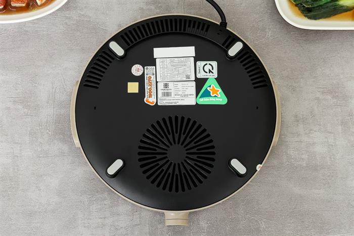 Bếp từ đơn Hawonkoo CEH-101-I-CF 2000W Màu Nâu