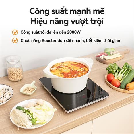 Bếp từ đơn FUJIHOME IC1391 2000W Màu Đen