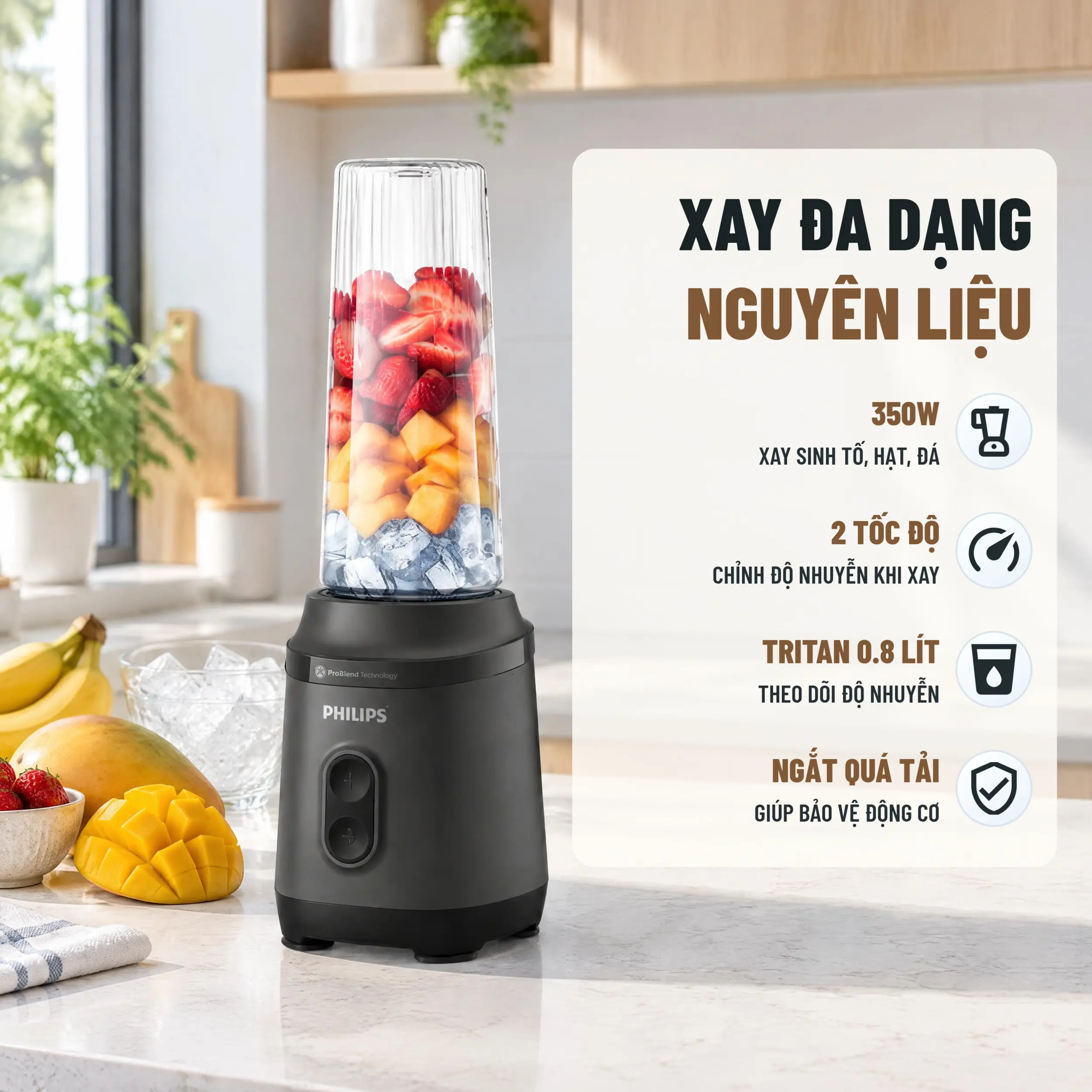 Máy xay sinh tố Philips HR2672/00 Màu Đen