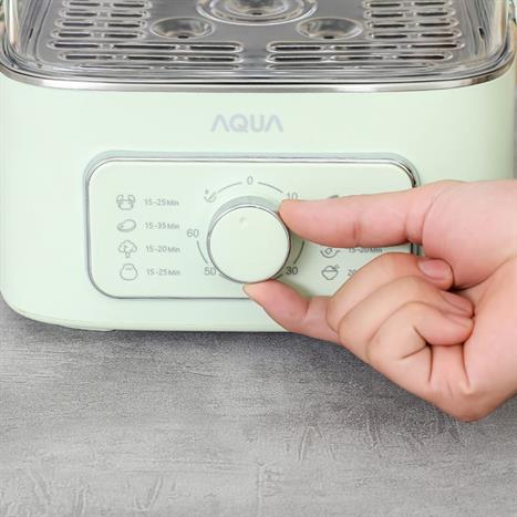 Nồi lẩu hấp đa năng AQUA ASMC-ES902(W) 9.3 lít Màu Xanh lá
