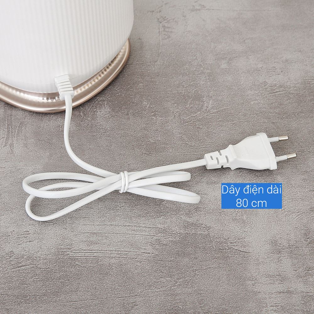 Máy ép chậm AQUA AQS-JSJ0901RW-VN Màu Trắng