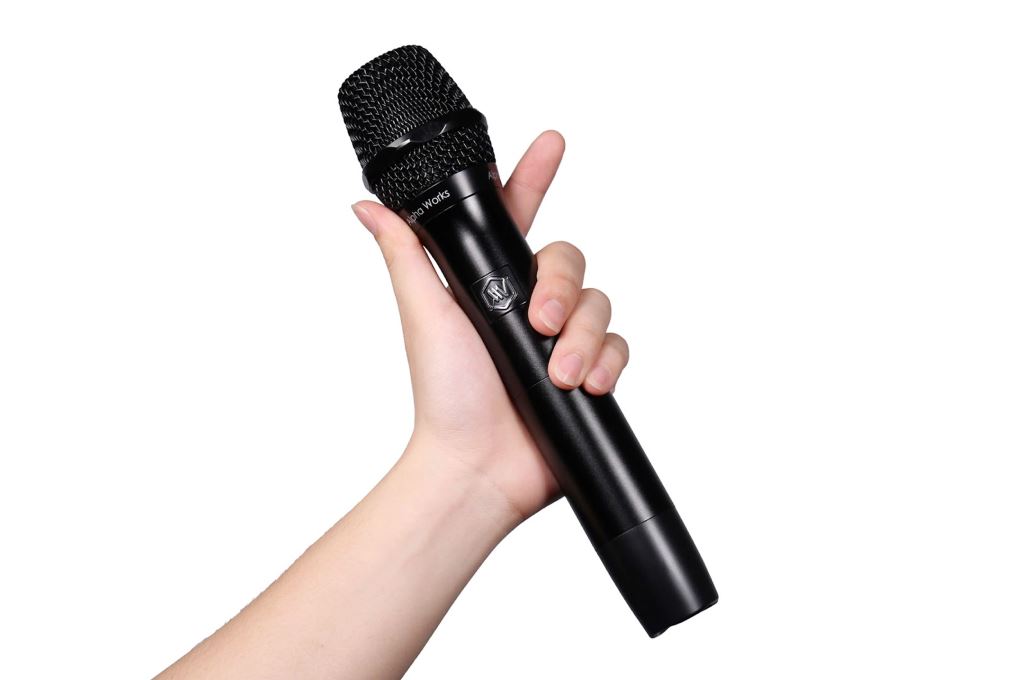 Cặp micro không dây Alpha Works D2 Màu Đen