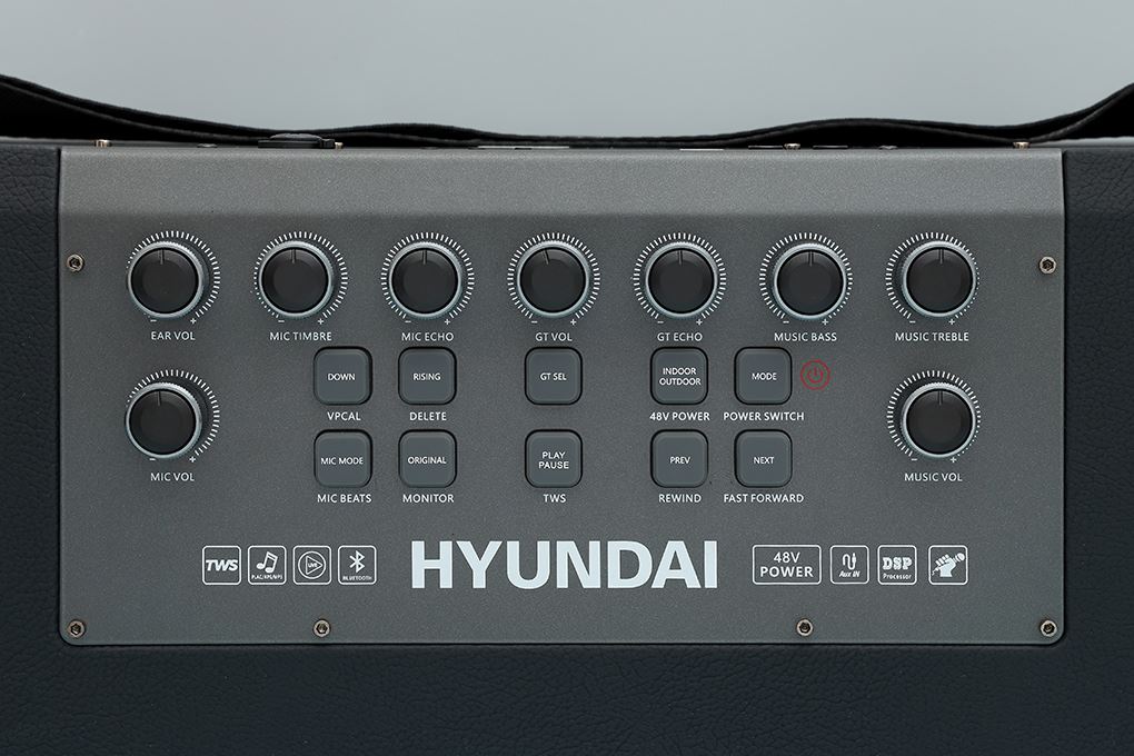 Loa Bluetooth karaoke Hyundai H9S 300W Màu Đen